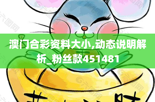 澳门合彩资料大小,动态说明解析_粉丝款451481