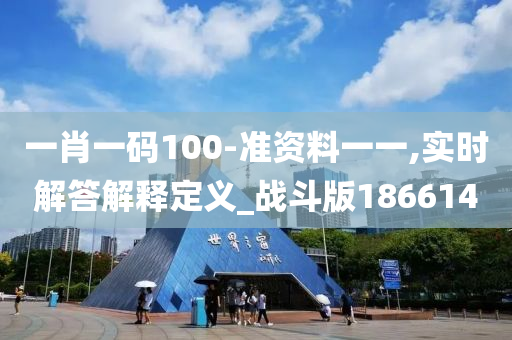 一肖一码100-准资料一一,实时解答解释定义_战斗版186614