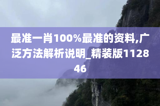 最准一肖100%最准的资料,广泛方法解析说明_精装版112846