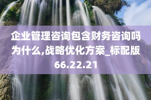 企业管理咨询包含财务咨询吗为什么,战略优化方案_标配版66.22.21