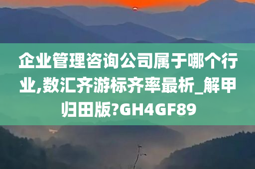 企业管理咨询公司属于哪个行业,数汇齐游标齐率最析_解甲归田版?GH4GF89