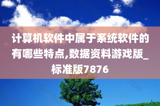 计算机软件中属于系统软件的有哪些特点,数据资料游戏版_标准版7876