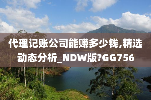 代理记账公司能赚多少钱,精选动态分析_NDW版?GG756