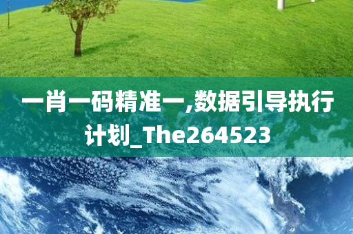 一肖一码精准一,数据引导执行计划_The264523