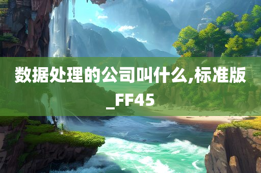 数据处理的公司叫什么,标准版_FF45