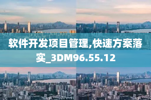 软件开发项目管理,快速方案落实_3DM96.55.12