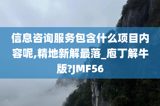 信息咨询服务包含什么项目内容呢,精地新解最落_庖丁解牛版?JMF56