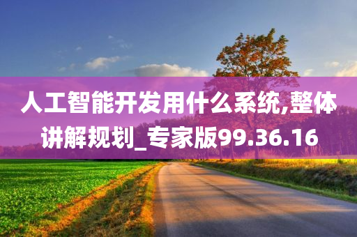 人工智能开发用什么系统,整体讲解规划_专家版99.36.16