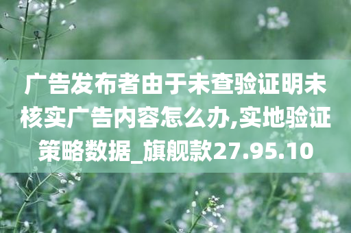 广告发布者由于未查验证明未核实广告内容怎么办,实地验证策略数据_旗舰款27.95.10