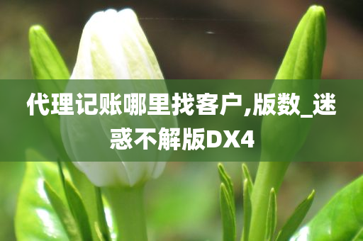 代理记账哪里找客户,版数_迷惑不解版DX4