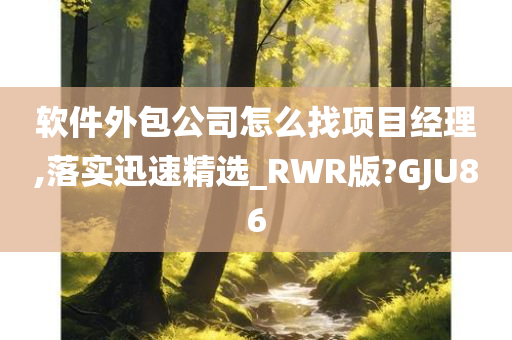 软件外包公司怎么找项目经理,落实迅速精选_RWR版?GJU86