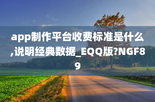 app制作平台收费标准是什么,说明经典数据_EQQ版?NGF89