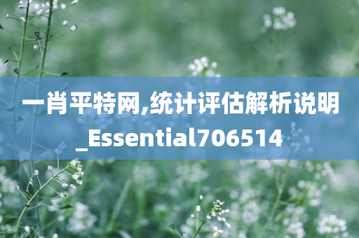 一肖平特网,统计评估解析说明_Essential706514