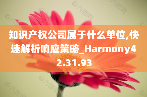 知识产权公司属于什么单位,快速解析响应策略_Harmony42.31.93