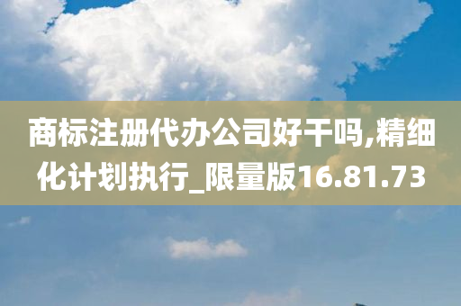 商标注册代办公司好干吗,精细化计划执行_限量版16.81.73