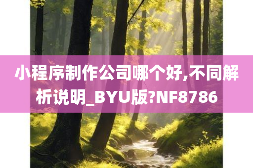 小程序制作公司哪个好,不同解析说明_BYU版?NF8786