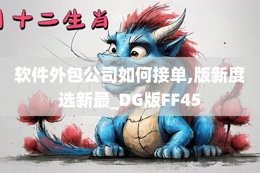 软件外包公司如何接单,版新度选新最_DG版FF45