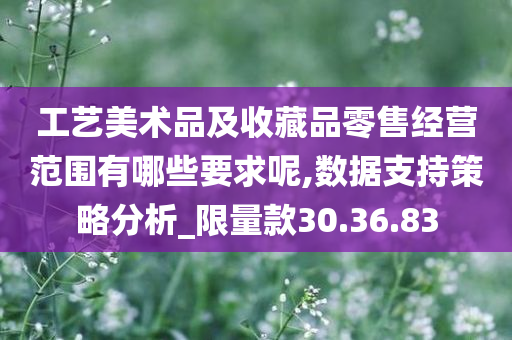 工艺美术品及收藏品零售经营范围有哪些要求呢,数据支持策略分析_限量款30.36.83