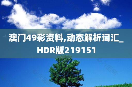 澳门49彩资料,动态解析词汇_HDR版219151