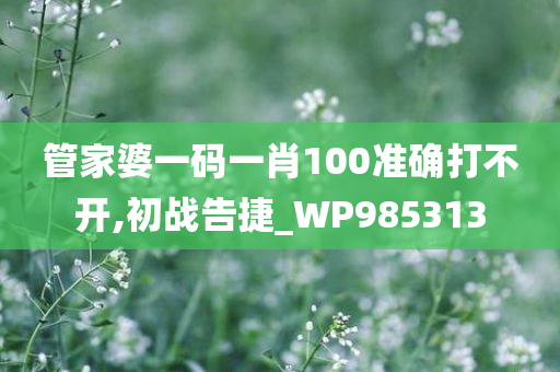 管家婆一码一肖100准确打不开,初战告捷_WP985313