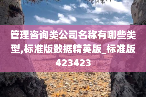 管理咨询类公司名称有哪些类型,标准版数据精英版_标准版423423