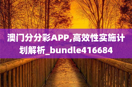 澳门分分彩APP,高效性实施计划解析_bundle416684