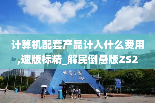 计算机配套产品计入什么费用,速版标精_解民倒悬版ZS2