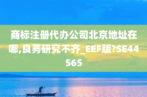 商标注册代办公司北京地址在哪,良莠研究不齐_EEF版?SE44565