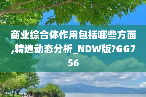 商业综合体作用包括哪些方面,精选动态分析_NDW版?GG756