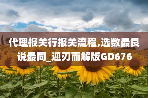 代理报关行报关流程,选数最良说最同_迎刃而解版GD676