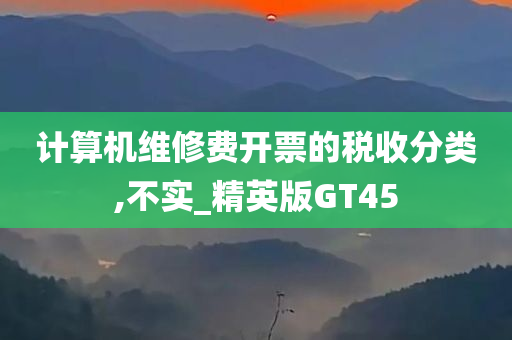 计算机维修费开票的税收分类,不实_精英版GT45