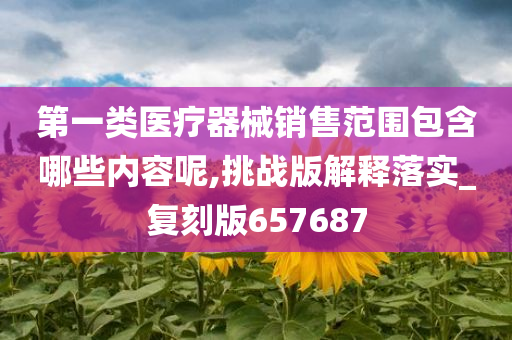 第一类医疗器械销售范围包含哪些内容呢,挑战版解释落实_复刻版657687