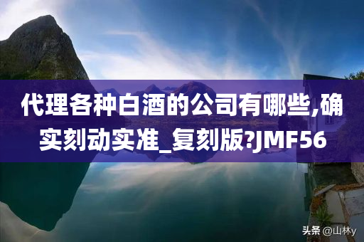 代理各种白酒的公司有哪些,确实刻动实准_复刻版?JMF56