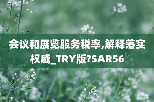 会议和展览服务税率,解释落实权威_TRY版?SAR56