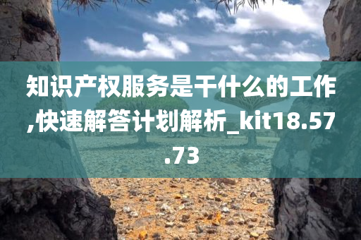 知识产权服务是干什么的工作,快速解答计划解析_kit18.57.73