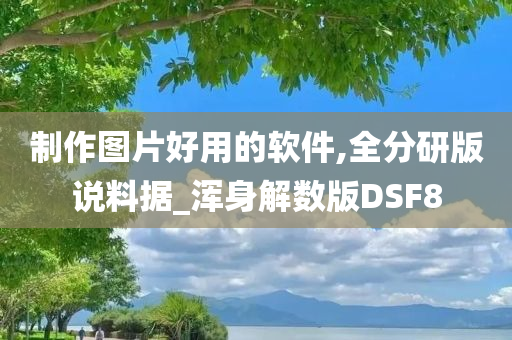 制作图片好用的软件,全分研版说料据_浑身解数版DSF8