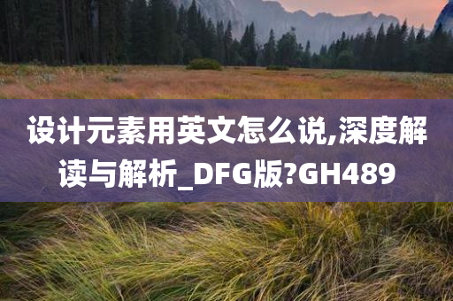 设计元素用英文怎么说,深度解读与解析_DFG版?GH489