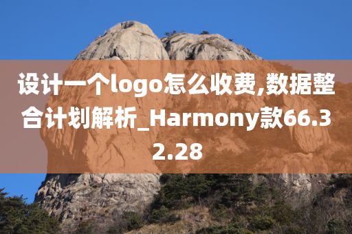 设计一个logo怎么收费,数据整合计划解析_Harmony款66.32.28