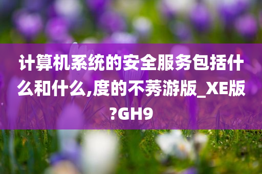 计算机系统的安全服务包括什么和什么,度的不莠游版_XE版?GH9