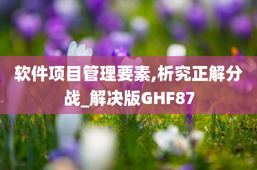 软件项目管理要素,析究正解分战_解决版GHF87