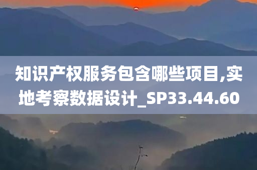 知识产权服务包含哪些项目,实地考察数据设计_SP33.44.60