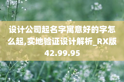 设计公司起名字寓意好的字怎么起,实地验证设计解析_RX版42.99.95