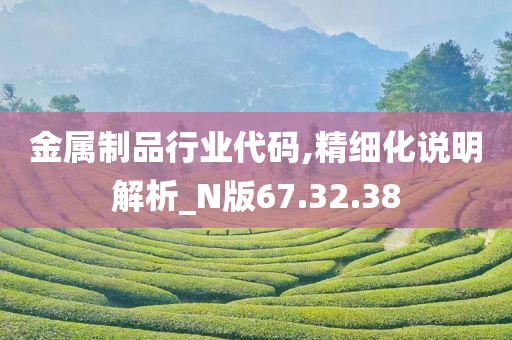 金属制品行业代码,精细化说明解析_N版67.32.38