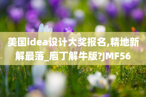 美国idea设计大奖报名,精地新解最落_庖丁解牛版?JMF56