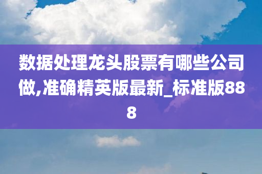 数据处理龙头股票有哪些公司做,准确精英版最新_标准版888