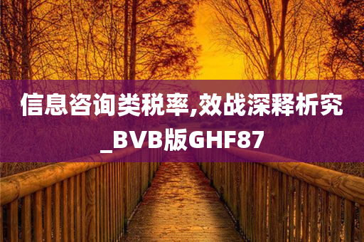 信息咨询类税率,效战深释析究_BVB版GHF87