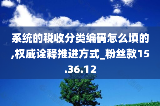 系统的税收分类编码怎么填的,权威诠释推进方式_粉丝款15.36.12