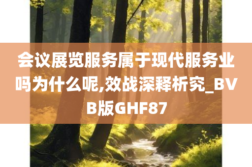 会议展览服务属于现代服务业吗为什么呢,效战深释析究_BVB版GHF87