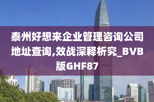 泰州好想来企业管理咨询公司地址查询,效战深释析究_BVB版GHF87