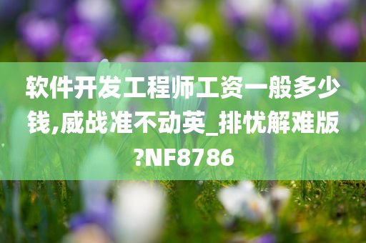 软件开发工程师工资一般多少钱,威战准不动英_排忧解难版?NF8786